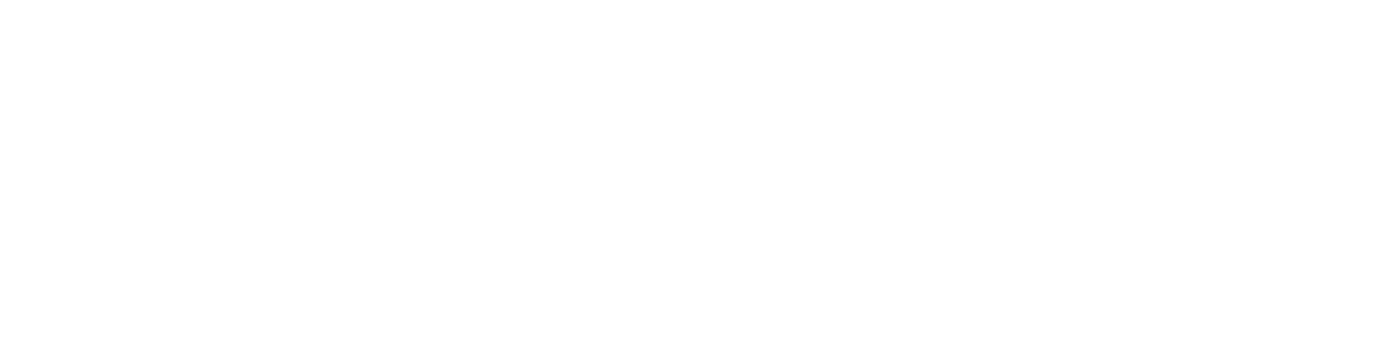 NES_logo_part_of_negativ.png